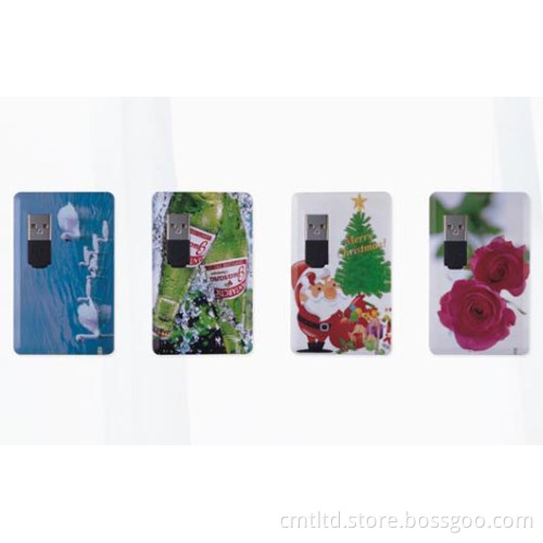 Full Color Printing USB Flash Drive Business Card Pen Drive Credit Card USB (CMT-CC003)